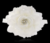 Amy Bridal Sash